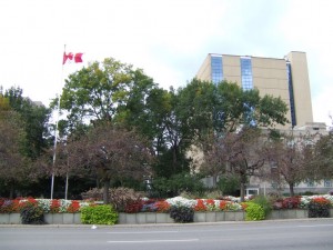 A view of red and white flower beds from University Avenue, Toronto.