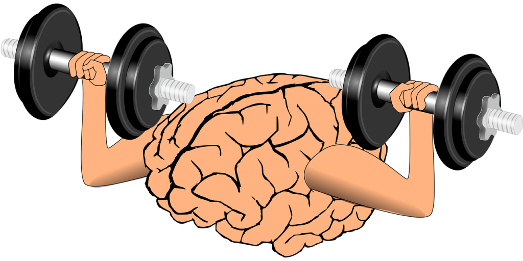 Exercise and the brain